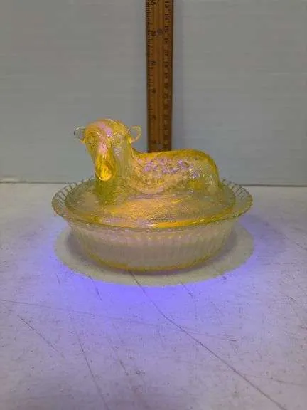 Boyd's lamb on a nest