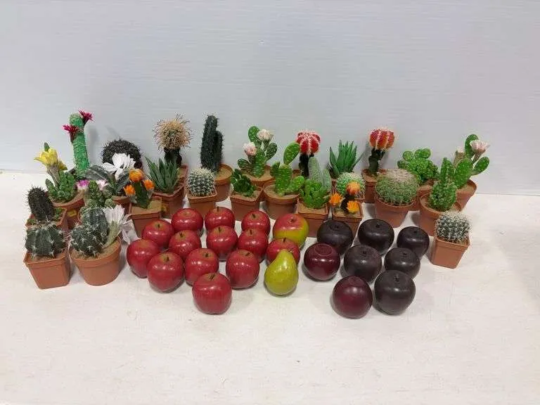 Assortment of decorative fruit & cactuses