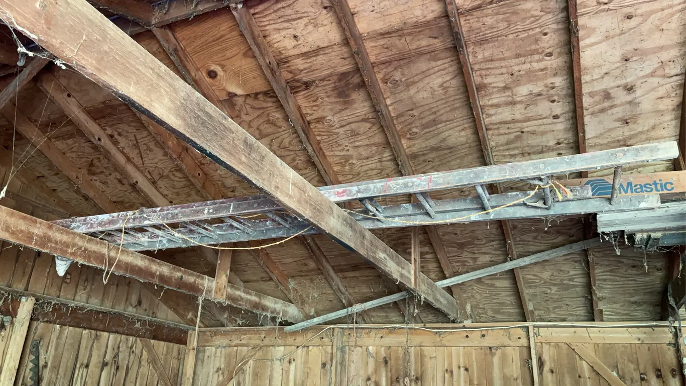12� wooden extension ladder