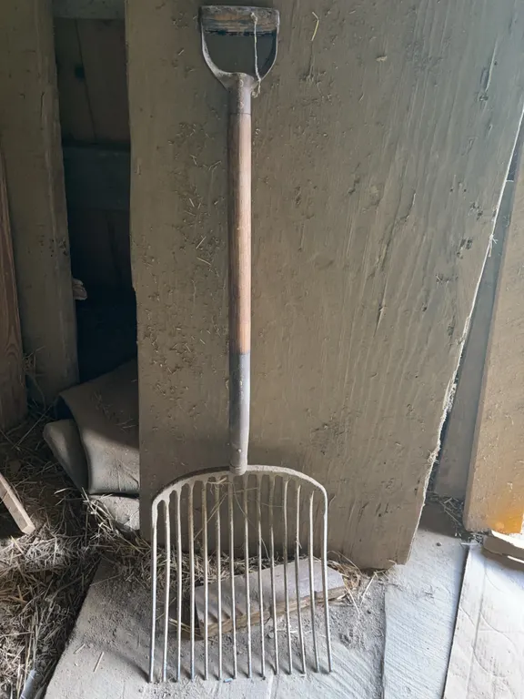 Fork and ax