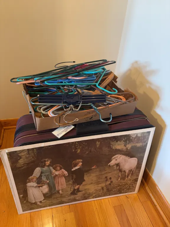 Suitcase, clothes hangers & shoe rack