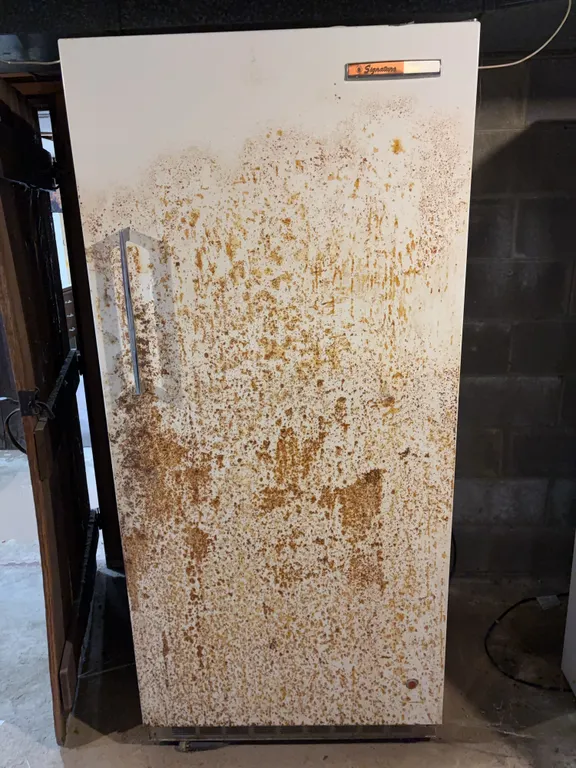 Signature upright freezer Located in Basement