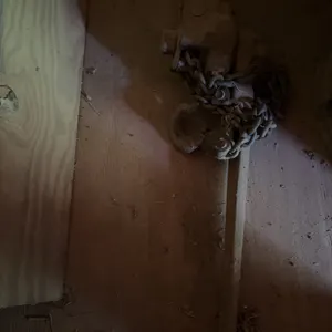 Chain come along