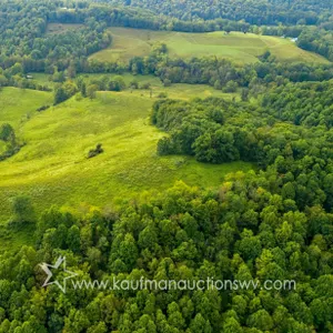 Subject #3 Lewis County 117.32 +/- Acres