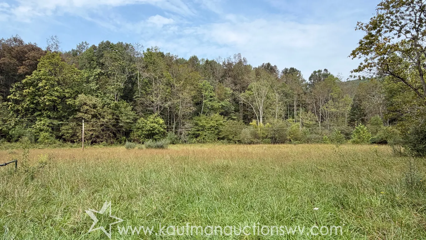 Subject #4 Lewis County 53.2 +/- Acres