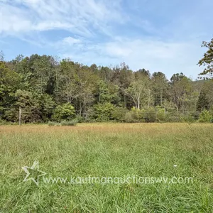 Subject #4 Lewis County 53.2 +/- Acres