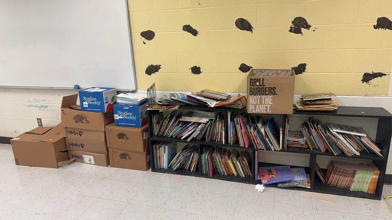 Bookshelf and Books