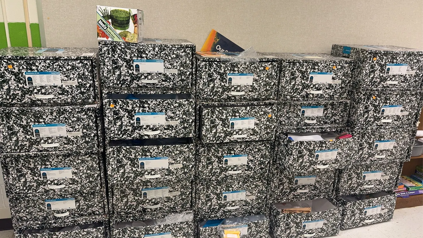 Cardboard Organizers and Contents