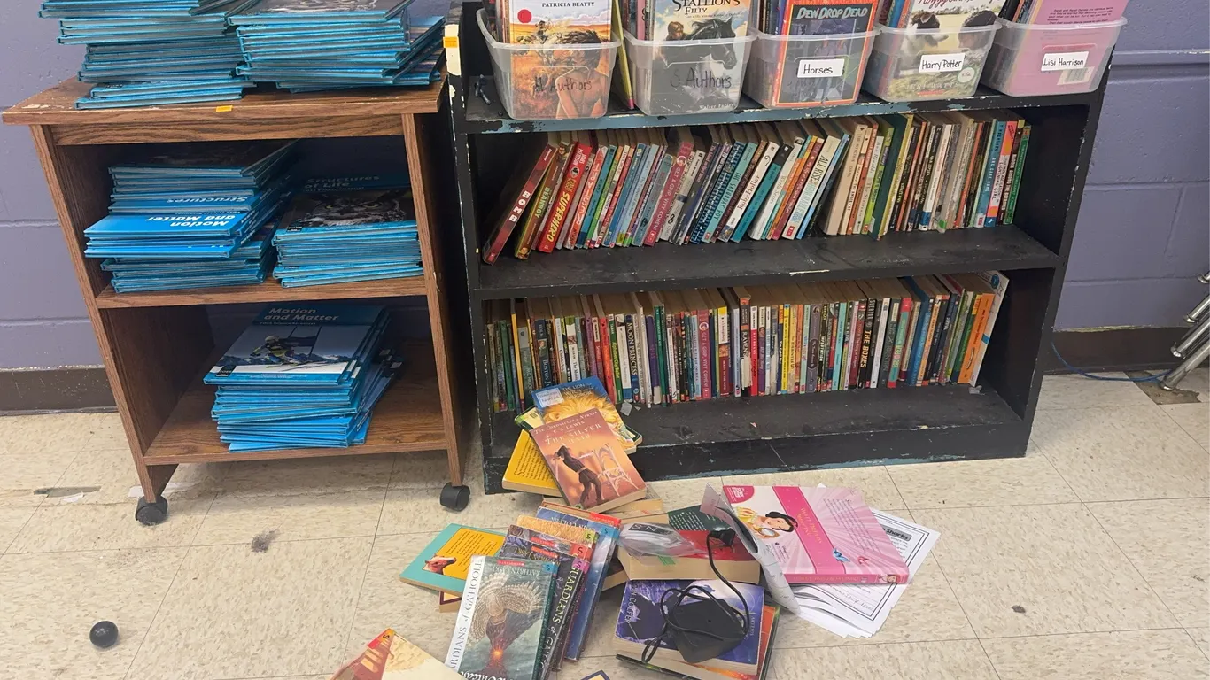 Bookshelf, Rolling Cart, and Books
