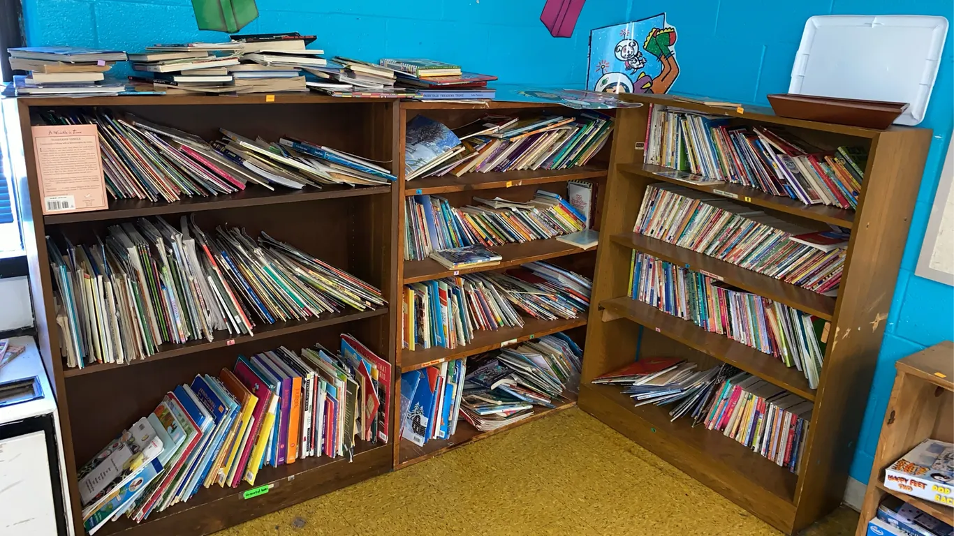 (4) wooden bookshelves W/ Books
