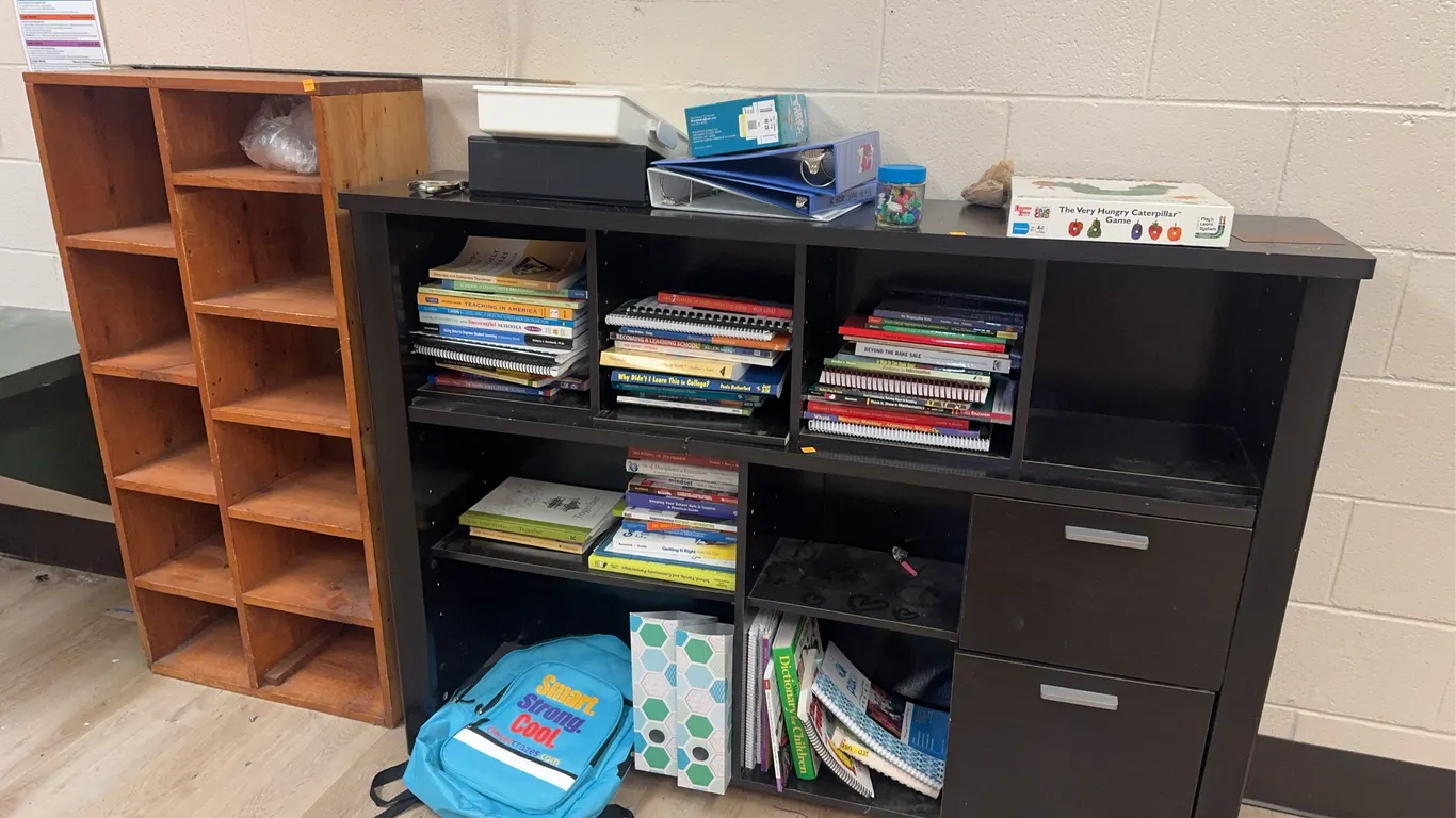 Bookshelves, Books and Bookbag