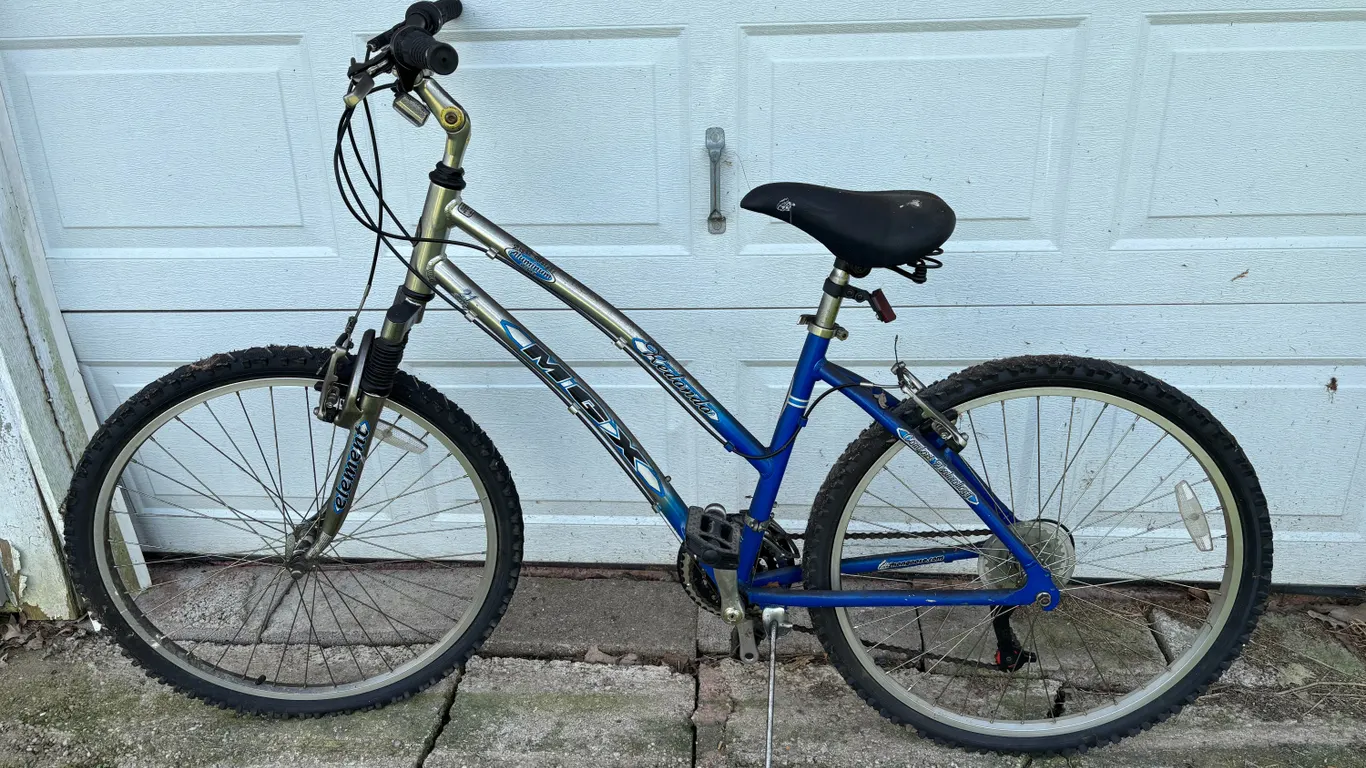 (1)- Schwinn & (1)- MGX bike