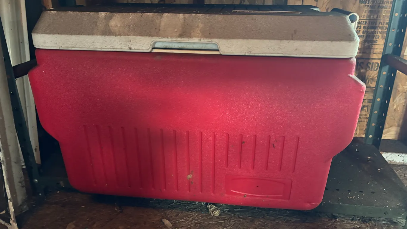 Rubbermaid cooler