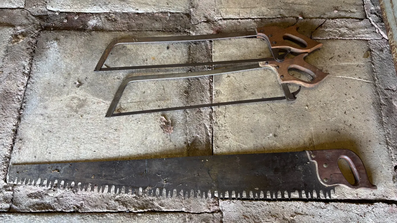 Crosscut saw and butcher saws