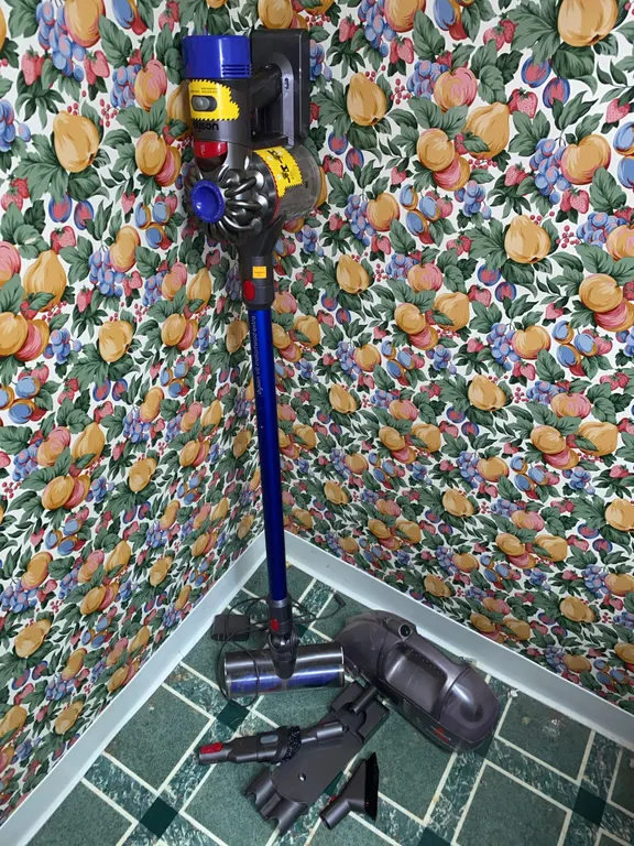 Dyson V8 Vacuum, Bissell spotlifter2x