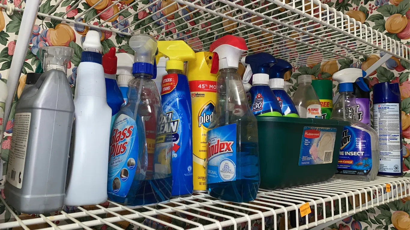 Cleaning supplies
