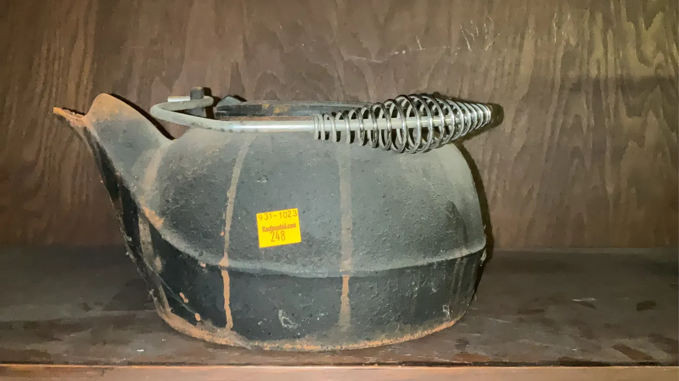 Cast Iron Tea Kettle
