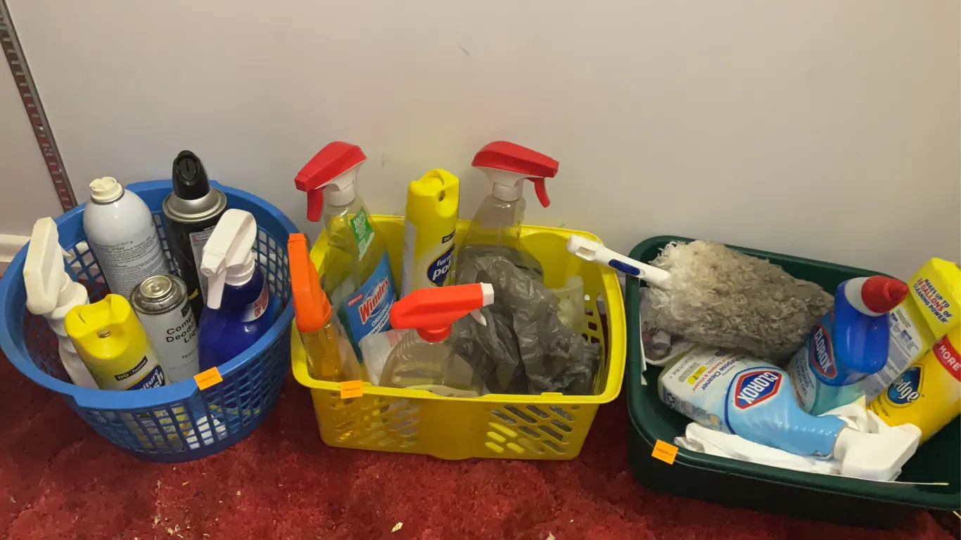 Assortment of Household Cleaners