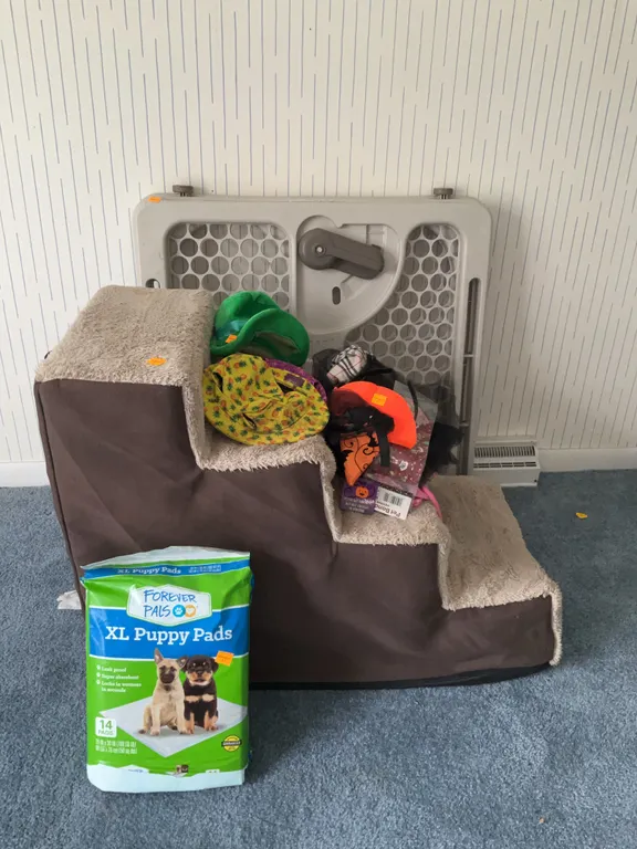 Assortment of Dog Items