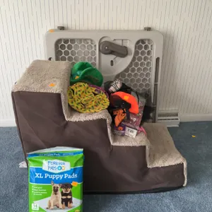 Assortment of Dog Items