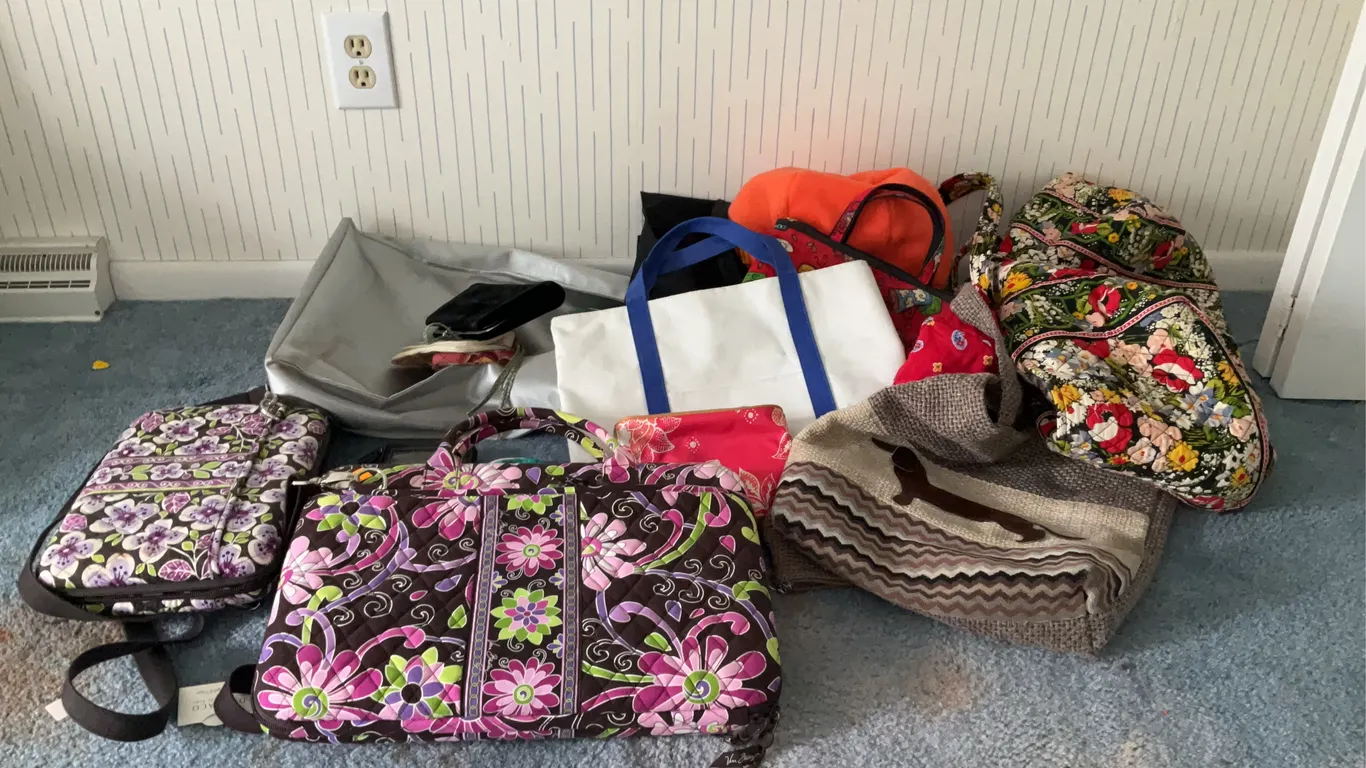 Assortment of Purses, Clutches, Change Purses and Handbags