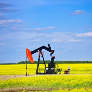 17.673 Net Mineral Acres