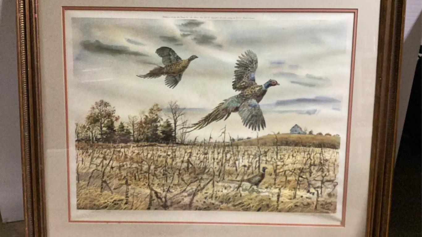 Framed Print of Pheasants