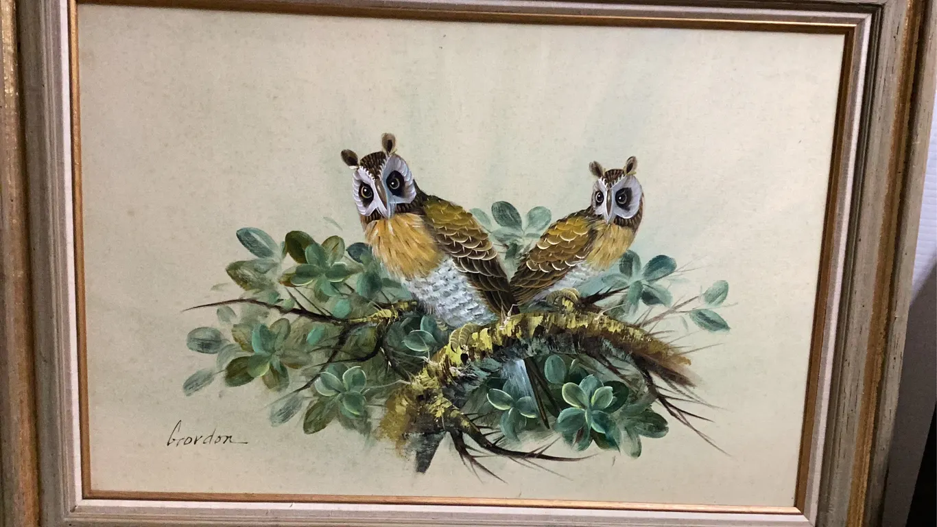 Framed Owl Print