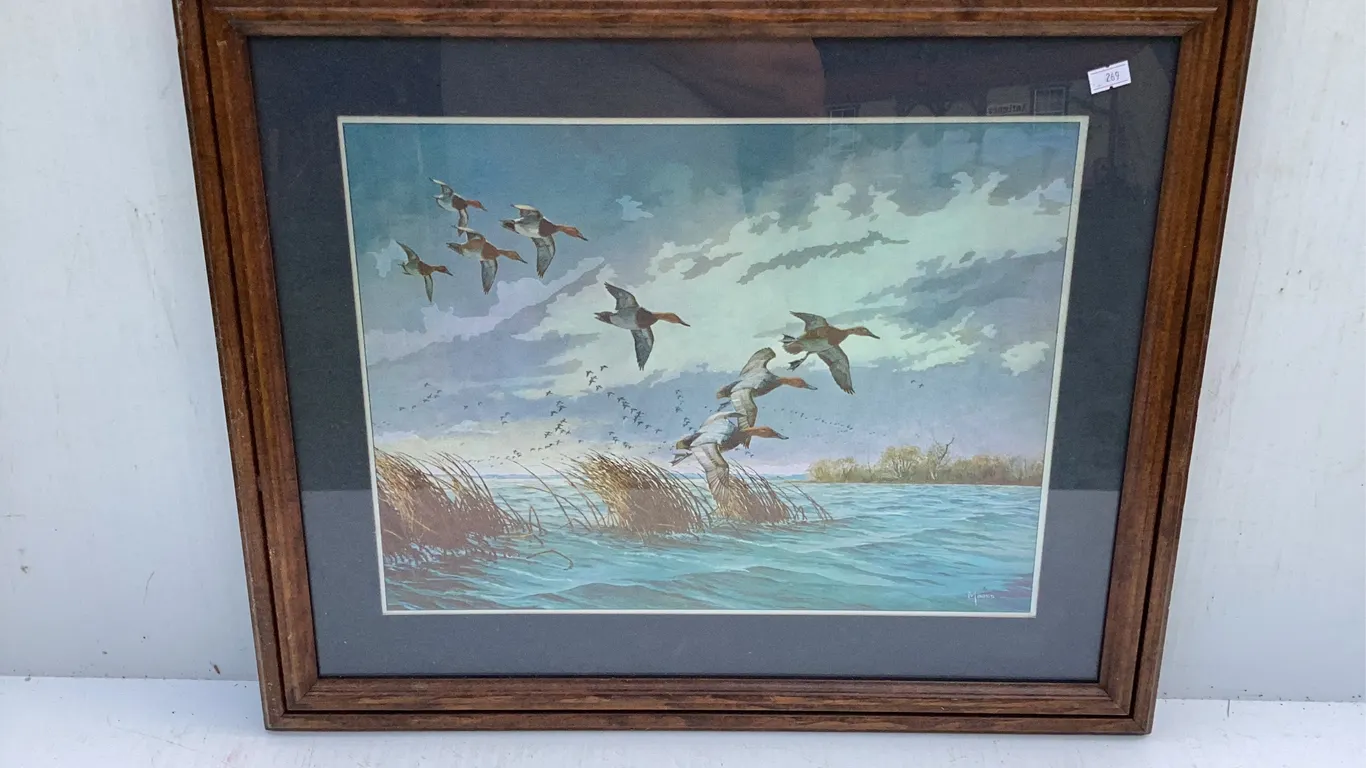 Framed Print of Ducks