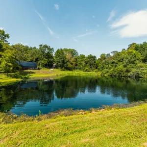 45 Acres w/ Barndominium, Ponds, & mostly wooded Acreage