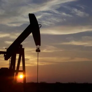 25% of the 50.31 Net Mineral Acres