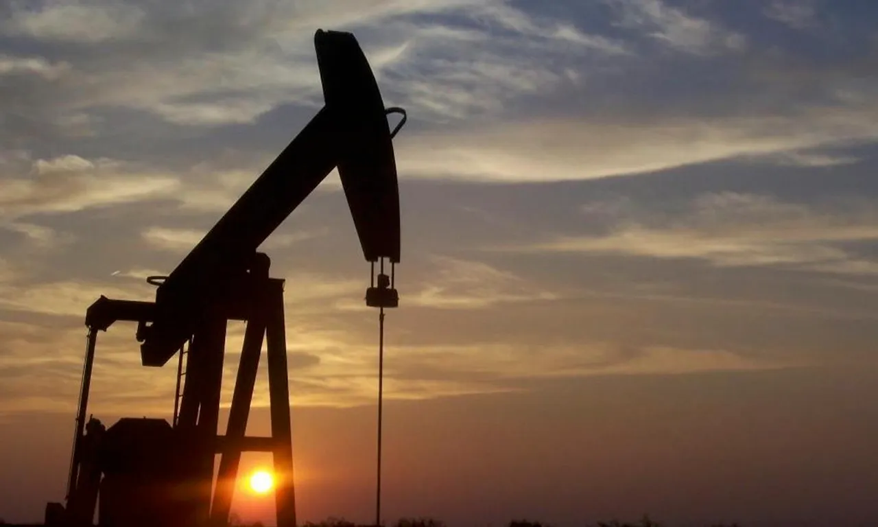 25% of the 50.31 Net Mineral Acres
