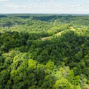 Parcel 1 - 13.2 Mostly Wooded Acres w/ 399’ Road Frontage