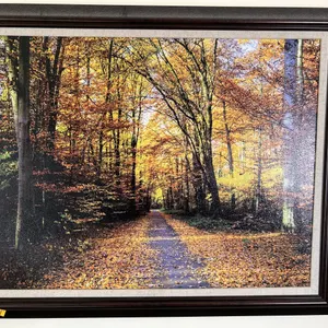 Fall Picture
