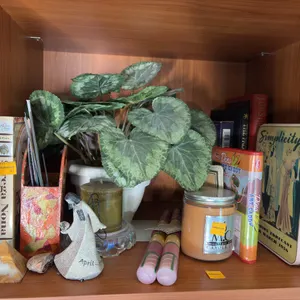 Contents Of Shelf
