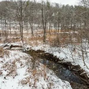Parcel 2   13.5+/- acres