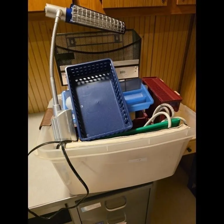 Office Supplies Desk Lamp Organizers Lot 25 $25.0
