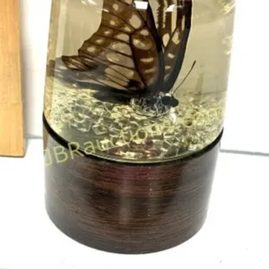 VINTAGE NATURE GEMS BUTTERFLY EMBEDMENT
