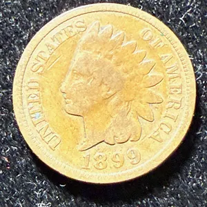 1899 Indian Head Wheat Penny