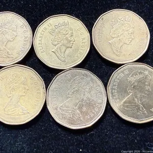 6 Canada Brass Dollars