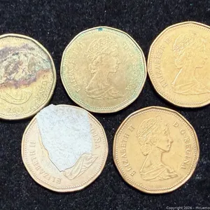 5 Canada Brass Dollars