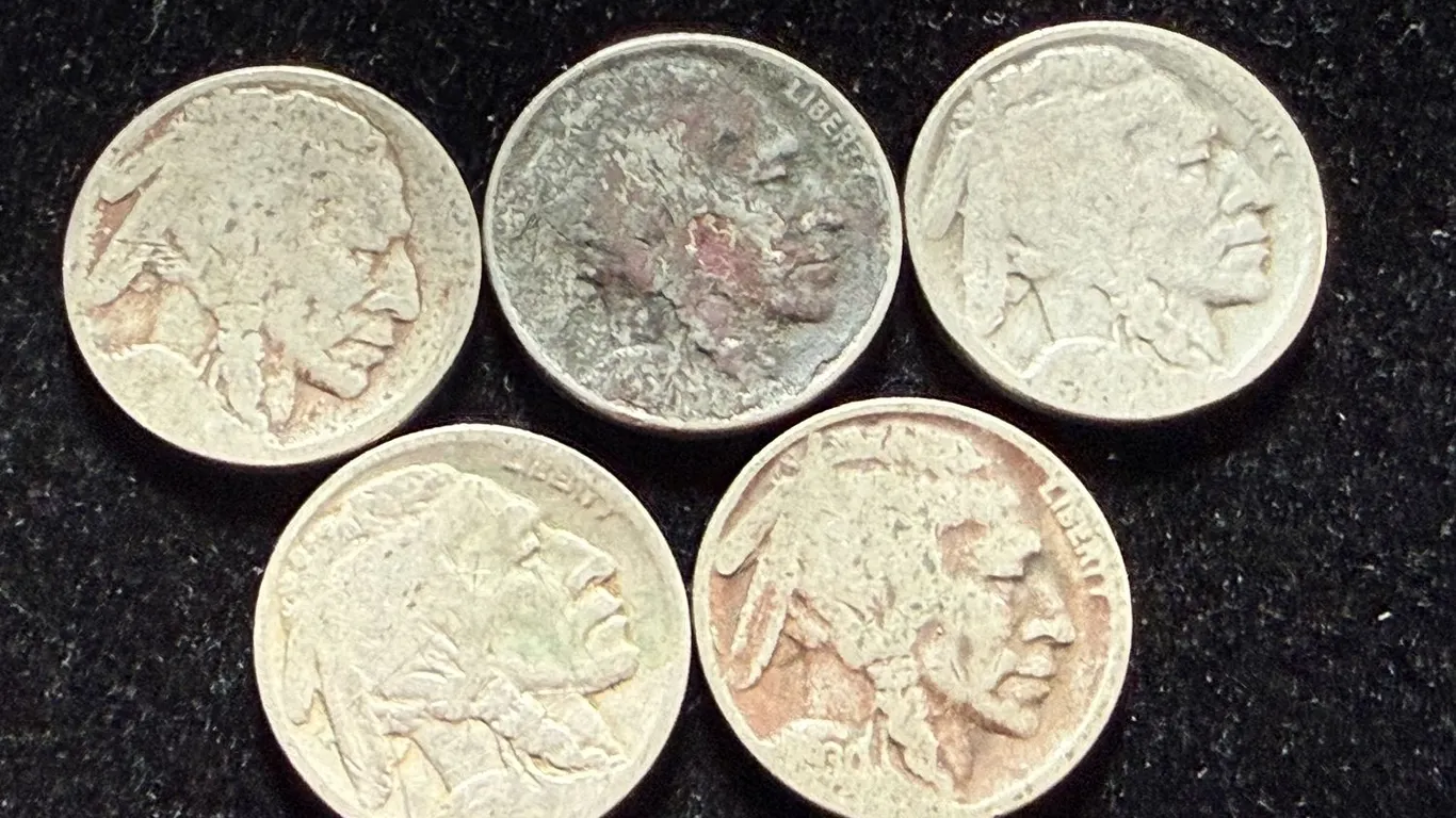 5 Buffalo Nickels no date