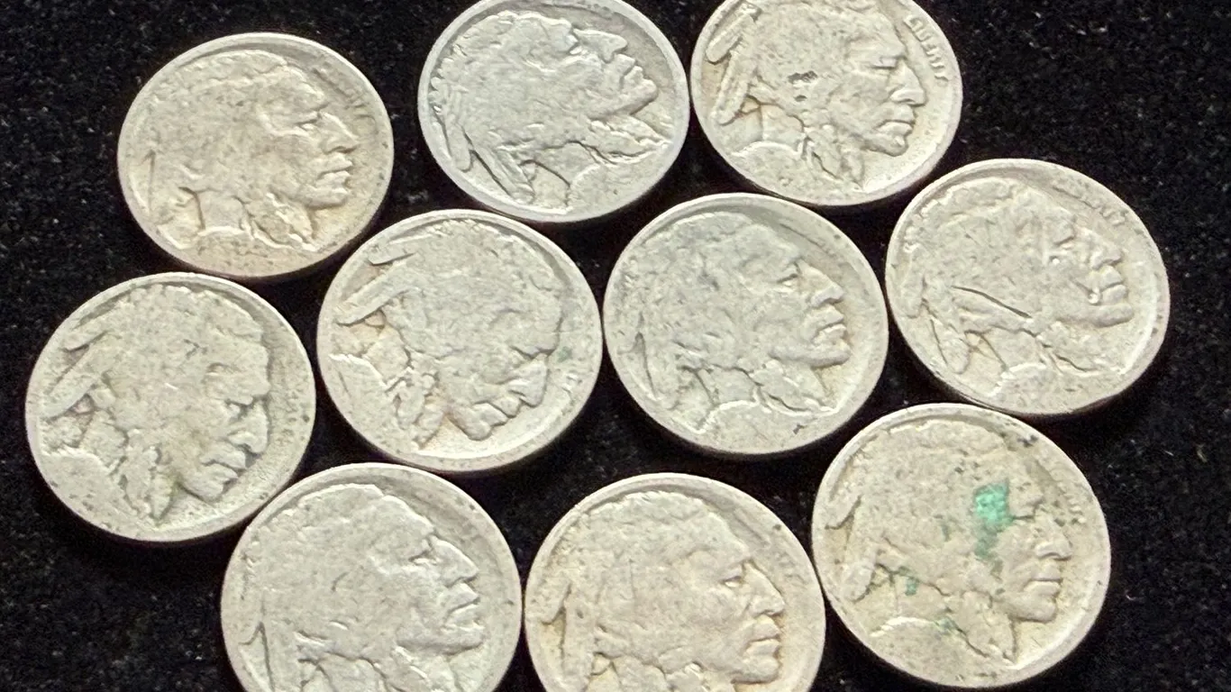 10 Buffalo Nickels no date