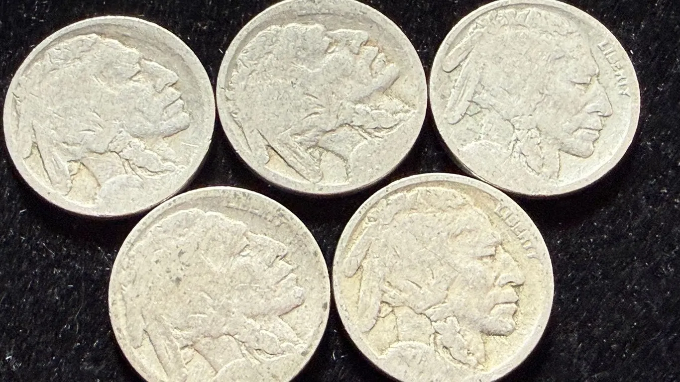 5 Buffalo Nickels no date