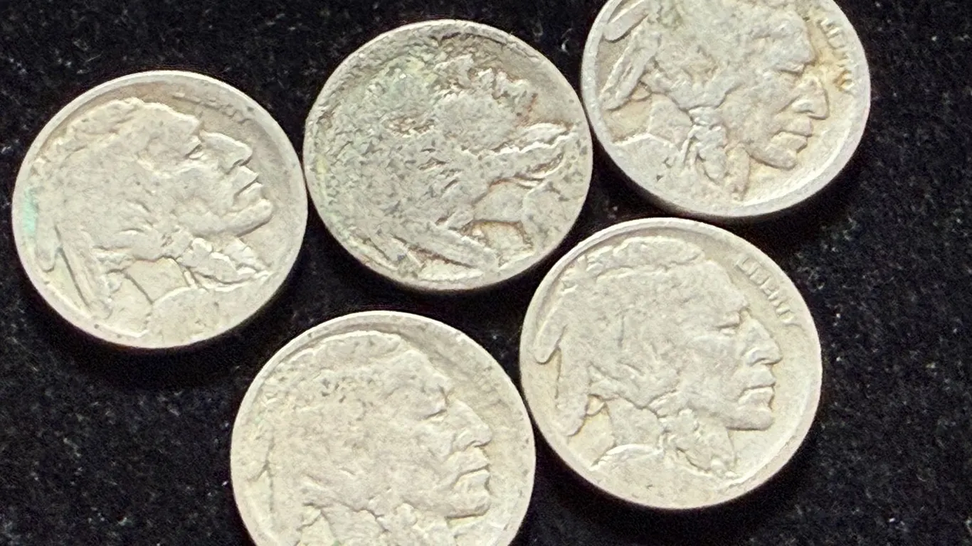 5 Buffalo Nickels no date