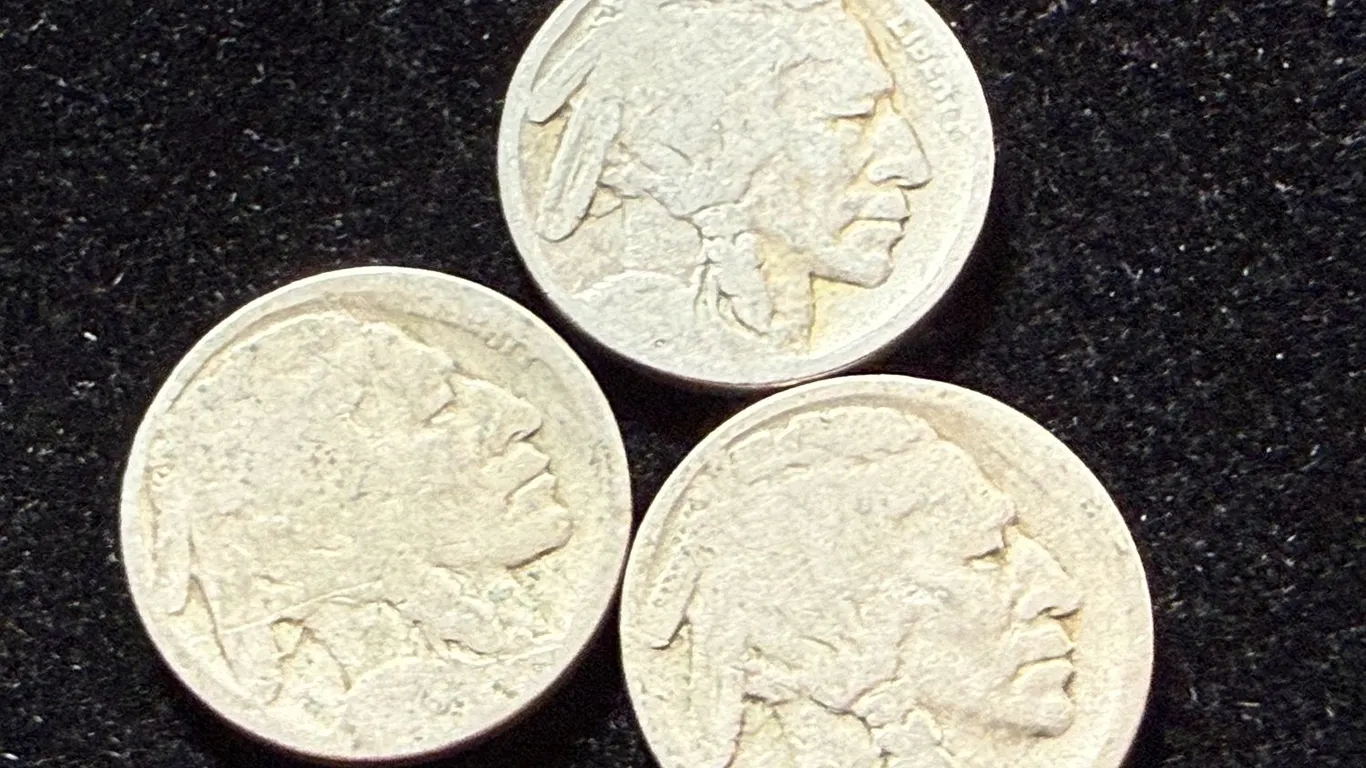 3 Buffalo Nickels no date