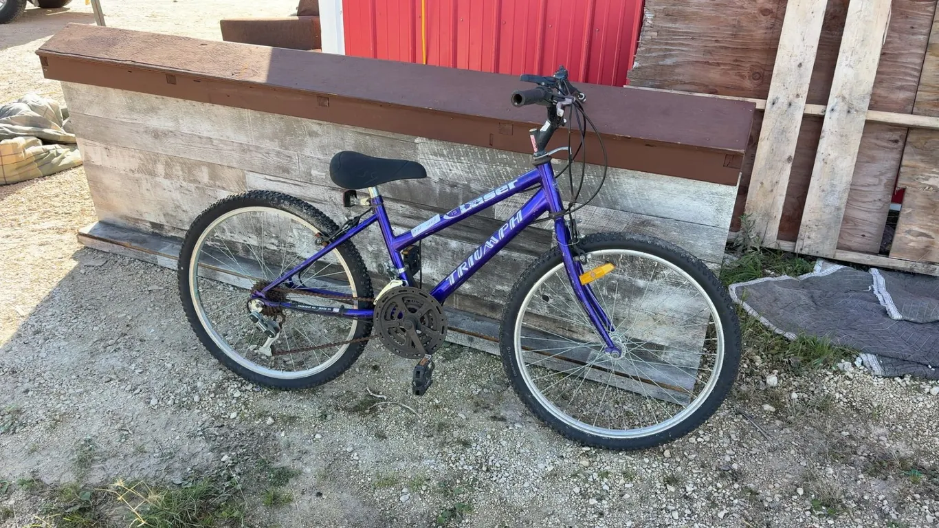 Variable Speed Youth Bicycle