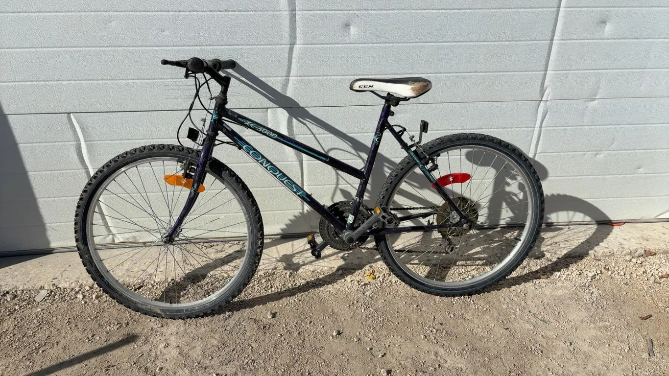 Variable-Speed Bicycle