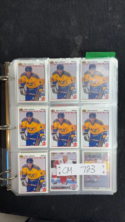 1990s Hockey Stars Collection