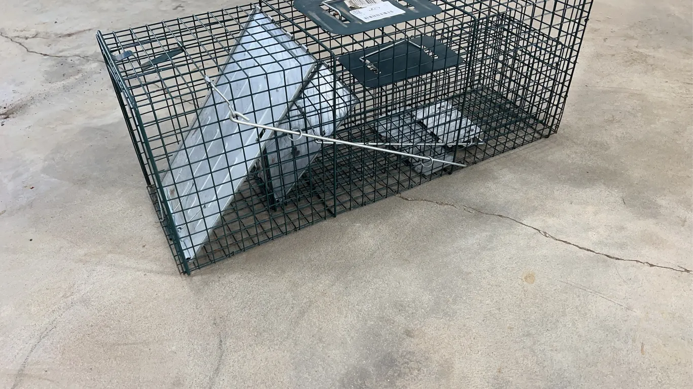 2 - Live Traps